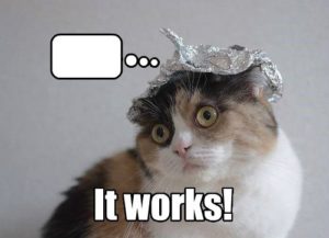 This cat does it right